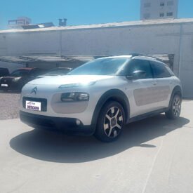 C4 CACTUS – SHINE 1.2 AT 2018