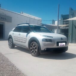 C4 CACTUS – SHINE 1.2 AT 2018 lleno