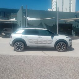 C4 CACTUS – SHINE 1.2 AT 2018 lleno