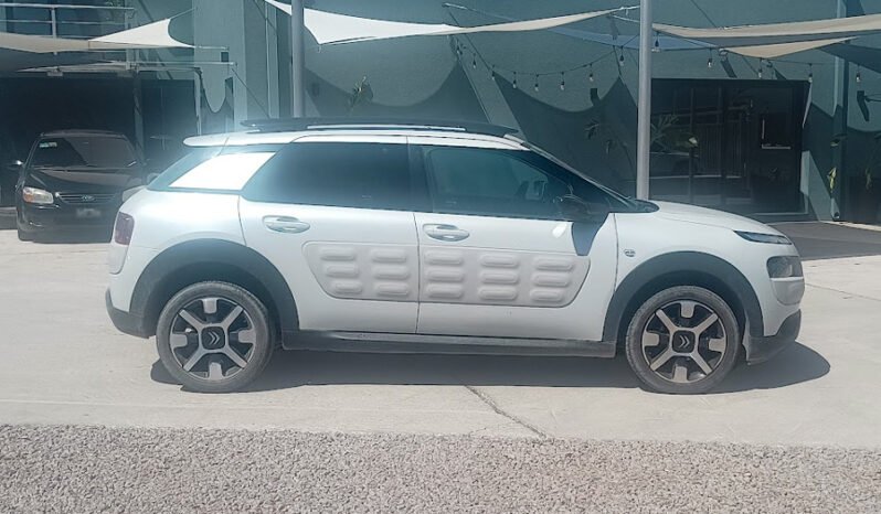 C4 CACTUS – SHINE 1.2 AT 2018 lleno