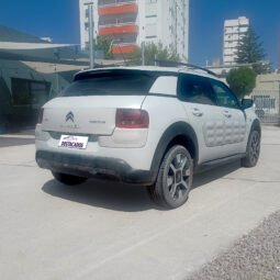 C4 CACTUS – SHINE 1.2 AT 2018 lleno