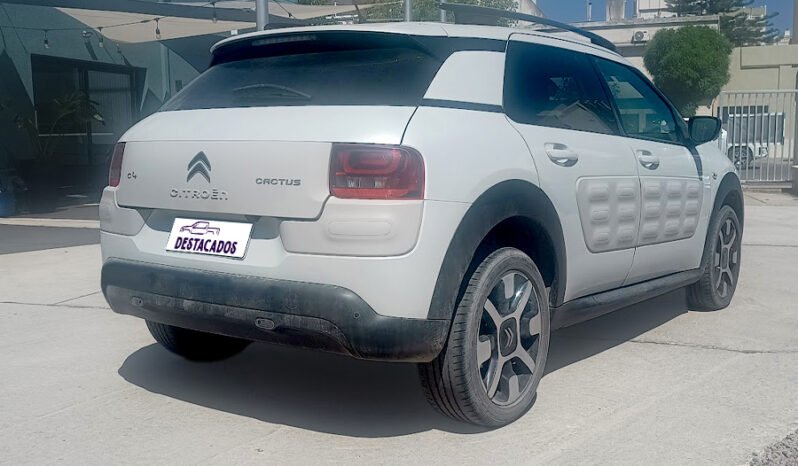 C4 CACTUS – SHINE 1.2 AT 2018 lleno