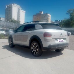 C4 CACTUS – SHINE 1.2 AT 2018 lleno