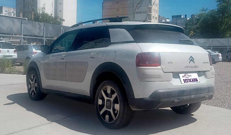 C4 CACTUS – SHINE 1.2 AT 2018 lleno