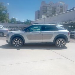 C4 CACTUS – SHINE 1.2 AT 2018 lleno