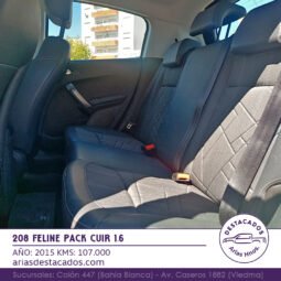 208 FELINE PACK CUIR 1.6 – 2015 lleno