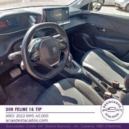 208 FELINE 1.6 TIP – 2022 lleno