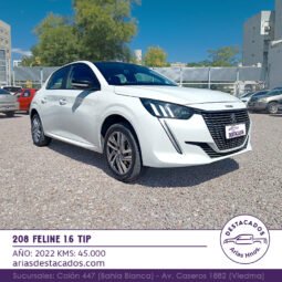 208 FELINE 1.6 TIP – 2022 lleno