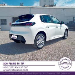 208 FELINE 1.6 TIP – 2022 lleno