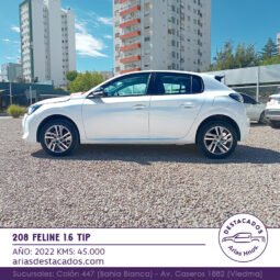 208 FELINE 1.6 TIP – 2022 lleno