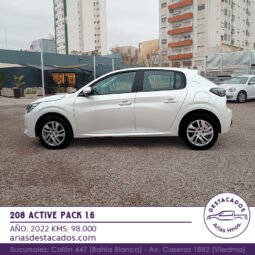 208 ACTIVE PACK 1.6 – 2022 lleno